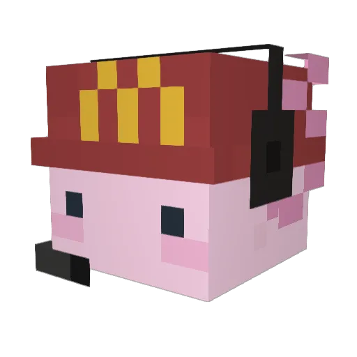 appalsauce Minecraft avatar head, 3D render