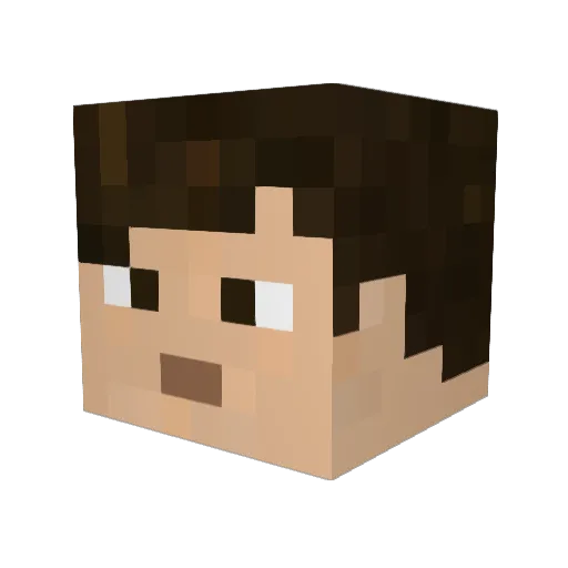 appboy1 Minecraft avatar head, 3D render