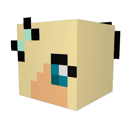 appers47 Minecraft avatar head, 3D render