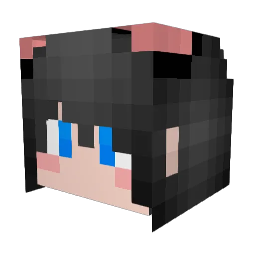 apple1579 Minecraft avatar head, 3D render