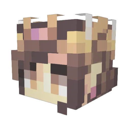appleattack0000 Minecraft avatar head, 3D render