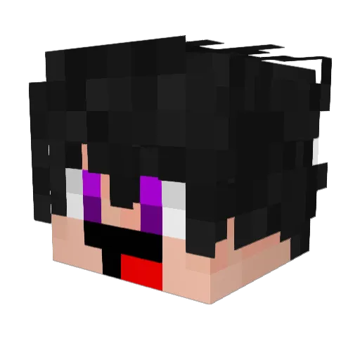 applebranchapple Minecraft avatar head, 3D render