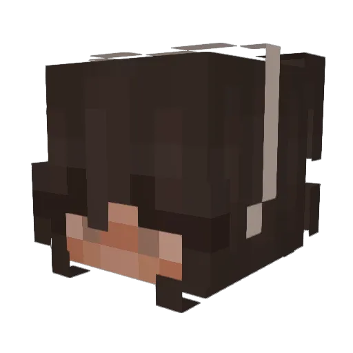 applecola Minecraft avatar head, 3D render