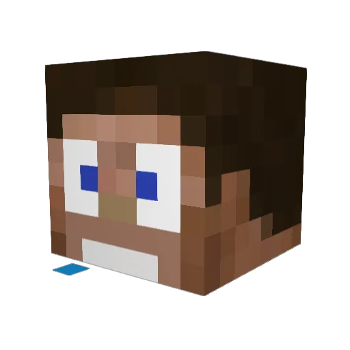 applehcraft Minecraft avatar head, 3D render