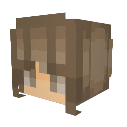applejuice0418 Minecraft avatar head, 3D render