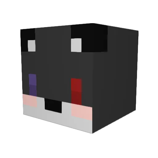 applemoon12 Minecraft avatar head, 3D render