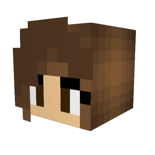 applepi5017 Minecraft avatar head, 3D render