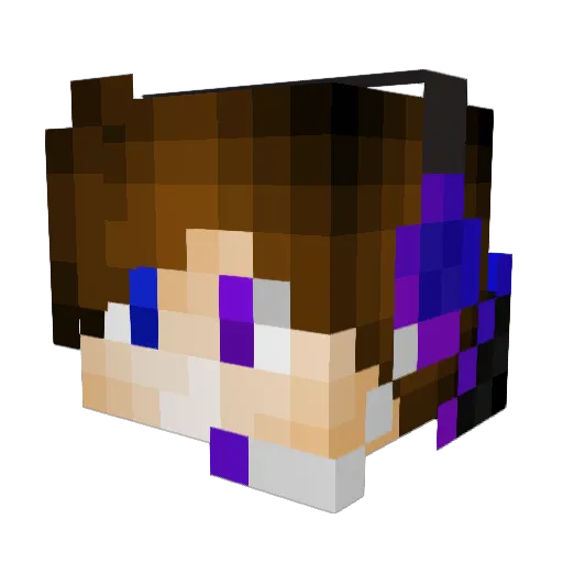 applepie19977 Minecraft avatar head, 3D render