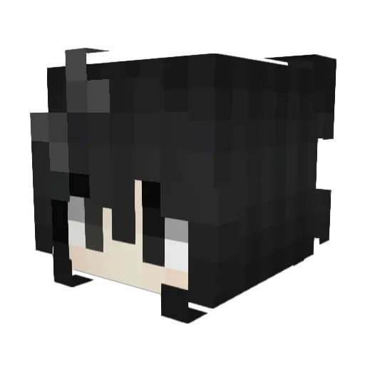 applepieee3 Minecraft avatar head, 3D render