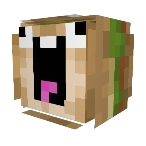 applepig0000 Minecraft avatar head, 3D render