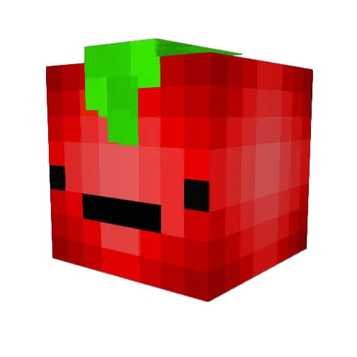 applseeed Minecraft avatar head, 3D render