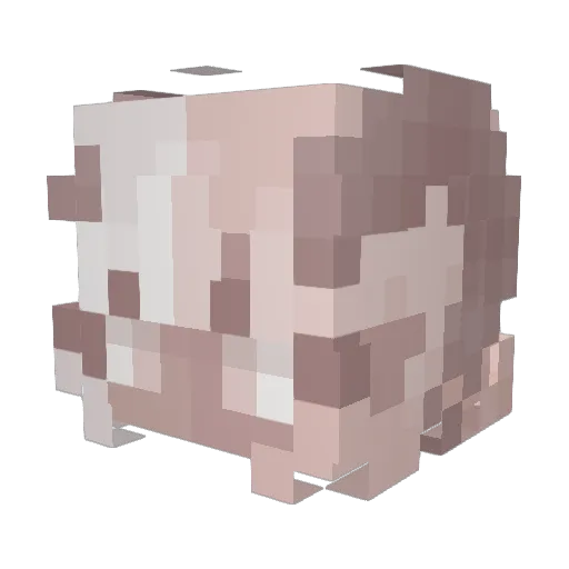 applypie_ Minecraft avatar head, 3D render