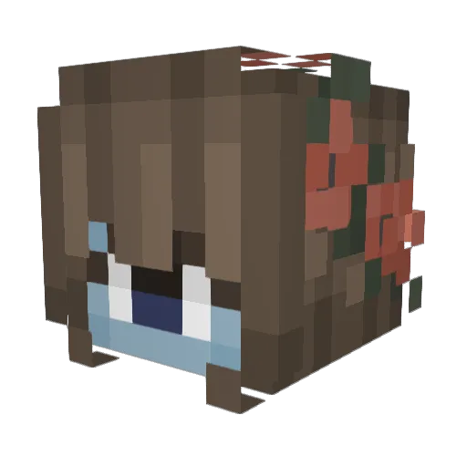 appojooze Minecraft avatar head, 3D render