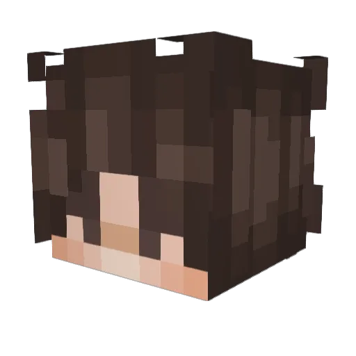 appple_piee Minecraft avatar head, 3D render