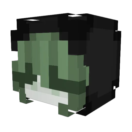 appplesauceee Minecraft avatar head, 3D render