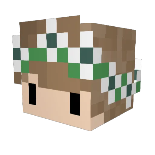 appt Minecraft avatar head, 3D render