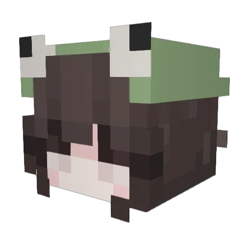 aprigoth Minecraft avatar head, 3D render