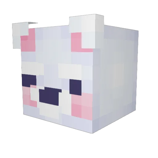 aprikoeselchen Minecraft avatar head, 3D render