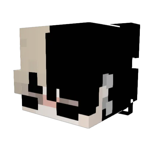 aprobacion Minecraft avatar head, 3D render