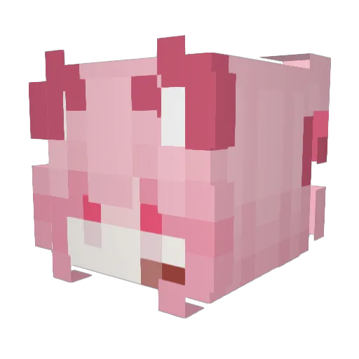 aprontar Minecraft avatar head, 3D render