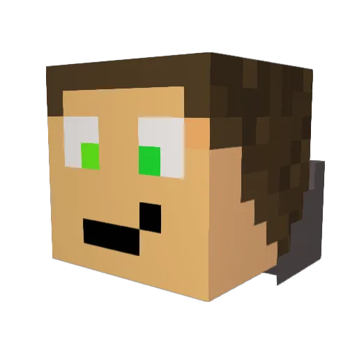 aptorika Minecraft avatar head, 3D render