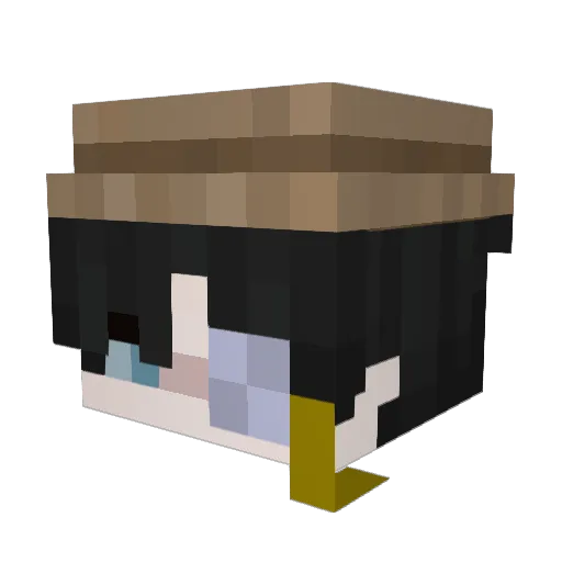 aqcw Minecraft avatar head, 3D render
