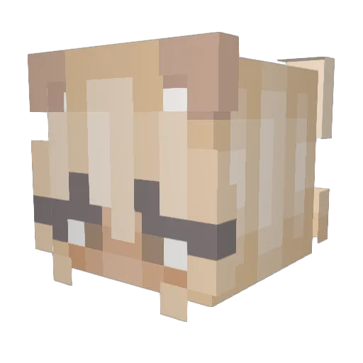 aqdyv Minecraft avatar head, 3D render