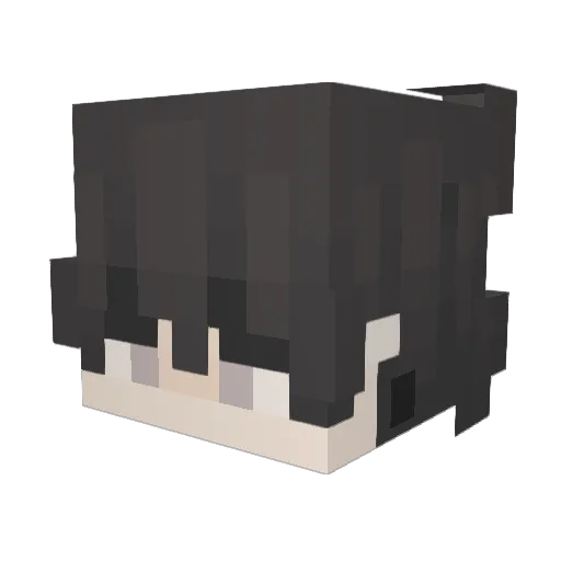 aqinerh Minecraft avatar head, 3D render