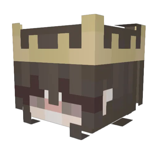 aqiu693 Minecraft avatar head, 3D render