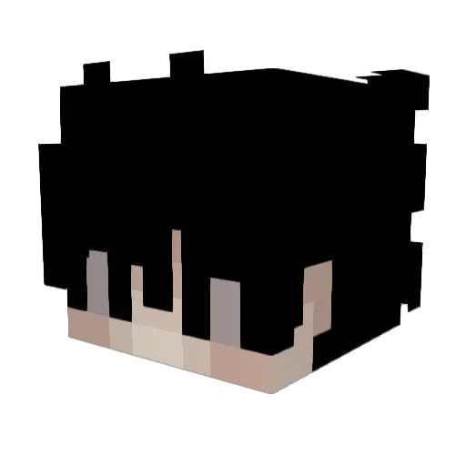 aqpplx Minecraft avatar head, 3D render