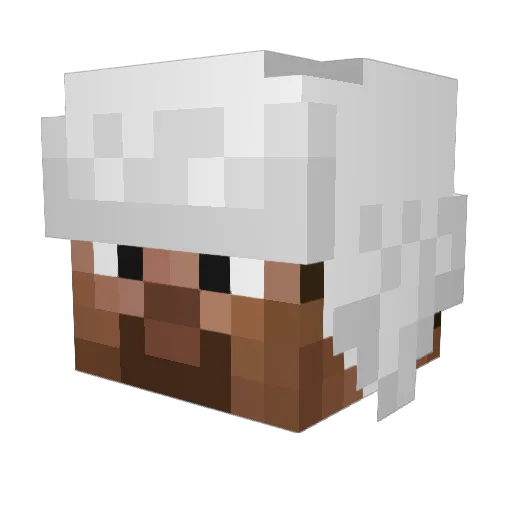 aqsm Minecraft avatar head, 3D render