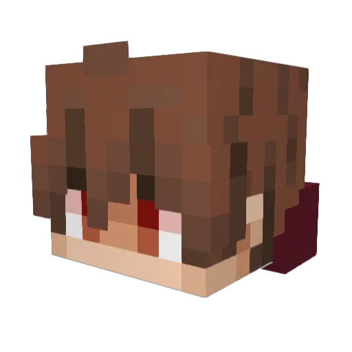 aqu9 Minecraft avatar head, 3D render