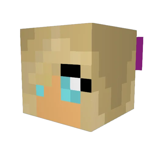 aqua118 Minecraft avatar head, 3D render