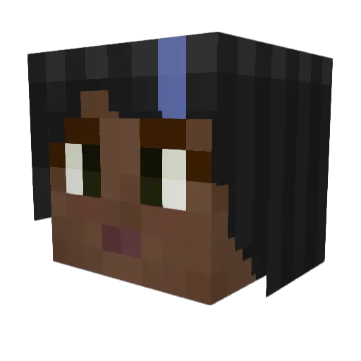 aqua203 Minecraft avatar head, 3D render