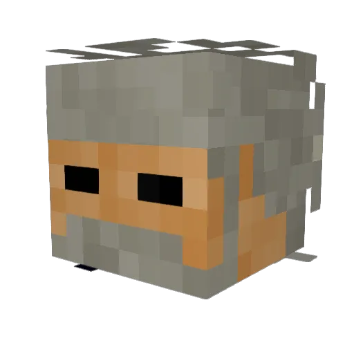 aquaRook Minecraft avatar head, 3D render