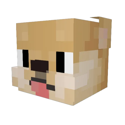 aquabear101 Minecraft avatar head, 3D render
