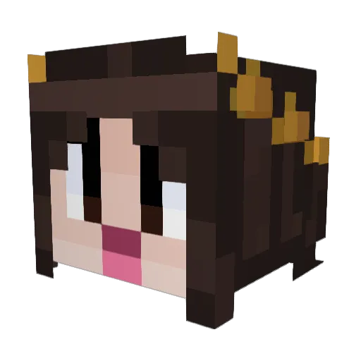 aquacise Minecraft avatar head, 3D render