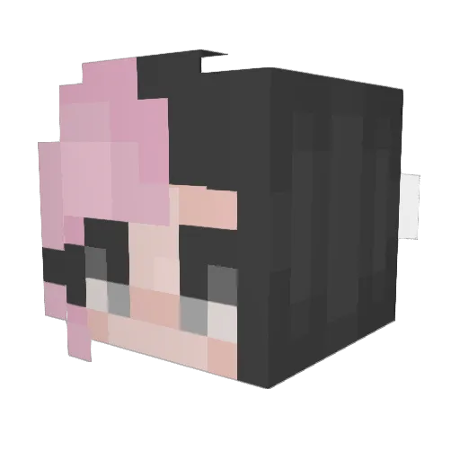 aquacows Minecraft avatar head, 3D render