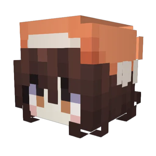aquafrzz Minecraft avatar head, 3D render