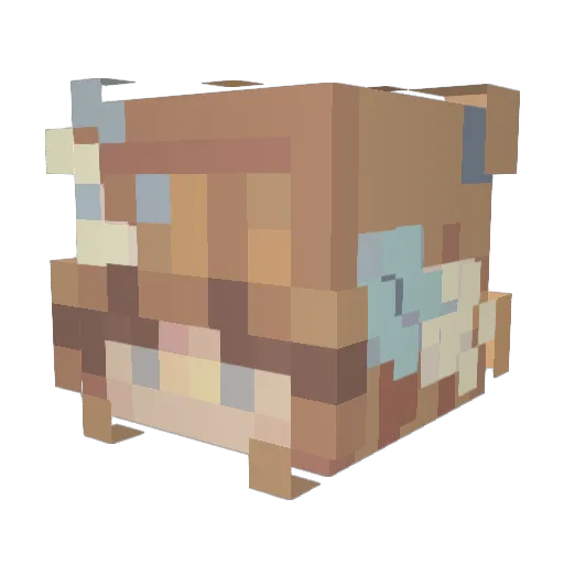 aquaholix Minecraft avatar head, 3D render