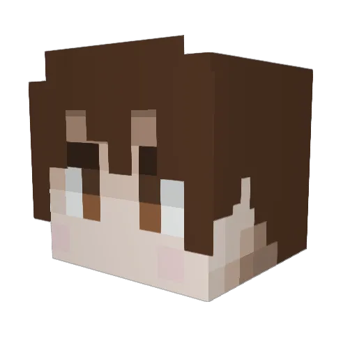aquakumi Minecraft avatar head, 3D render