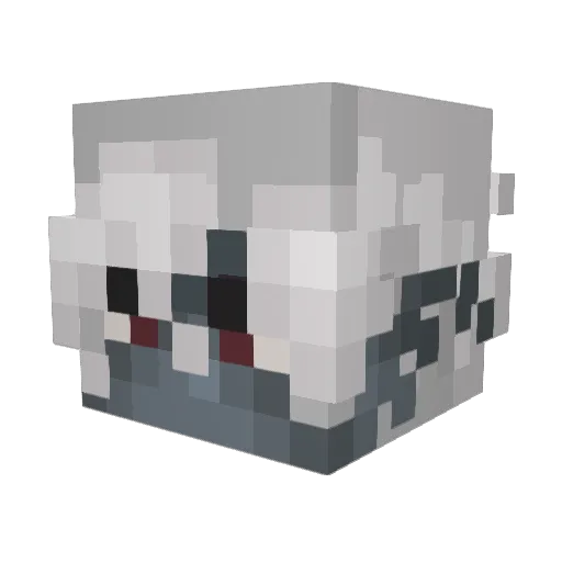 aquapolix Minecraft avatar head, 3D render