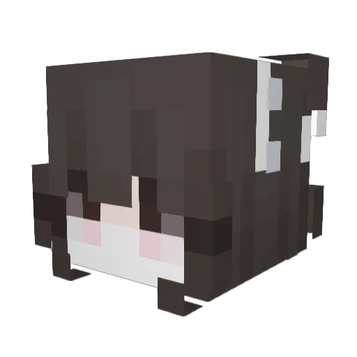 aquariusdeperaa Minecraft avatar head, 3D render