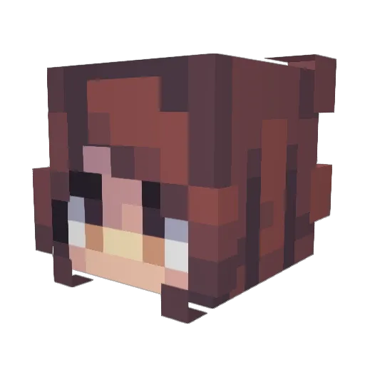 aquasfinest Minecraft avatar head, 3D render