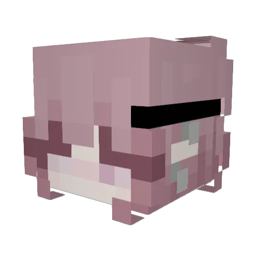 aquaticcharizard Minecraft avatar head, 3D render