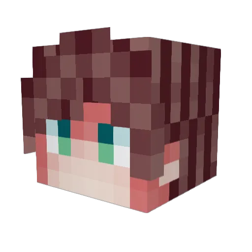 aquaticcturtle Minecraft avatar head, 3D render