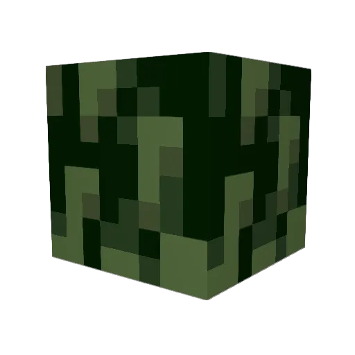 aquatikat Minecraft avatar head, 3D render