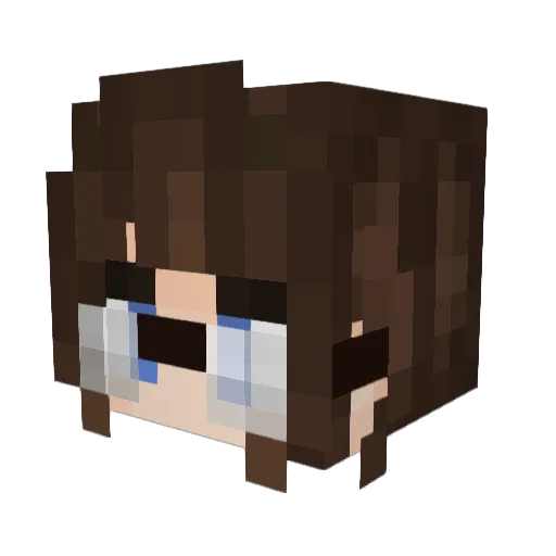 aquawawaa Minecraft avatar head, 3D render