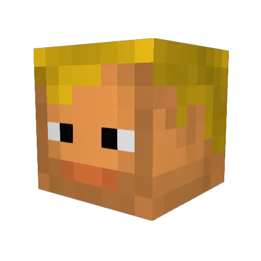 aquawolf99 Minecraft avatar head, 3D render