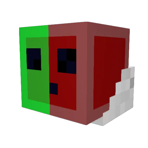 aquinguy123 Minecraft avatar head, 3D render